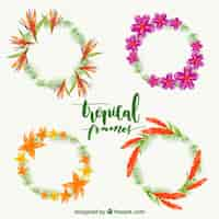 Free vector pack of watercolor floral wreaths