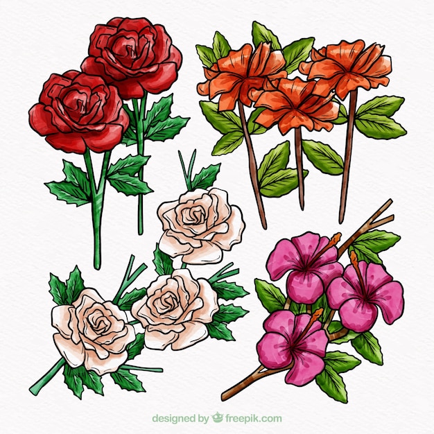 Pack of watercolor flowers