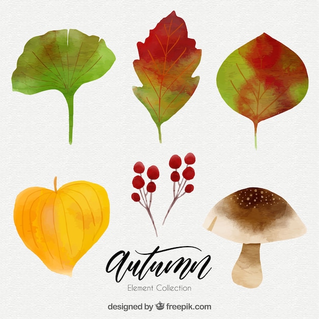 Pack of watercolor leaves with mushroom