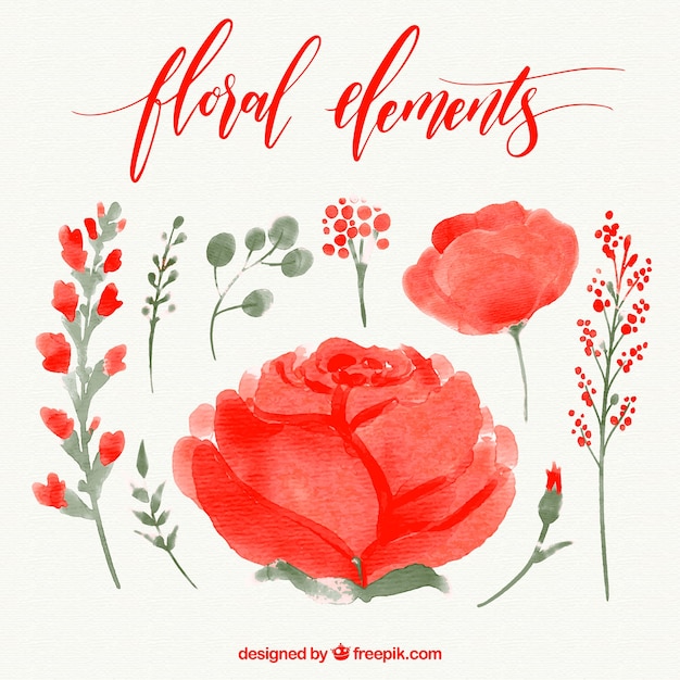 Free vector pack of watercolor roses