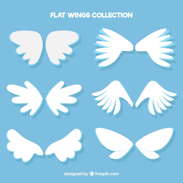 Free vector pack of white wings