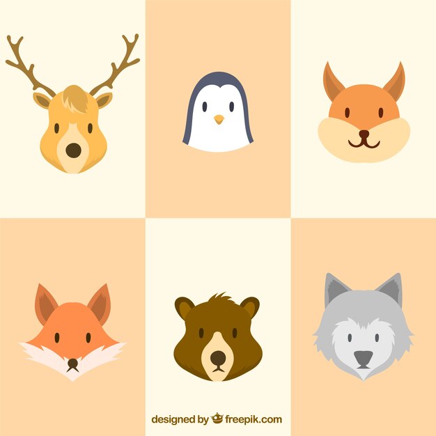 Pack of winter animals