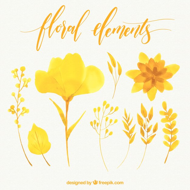 黄色の水彩画の花のパック