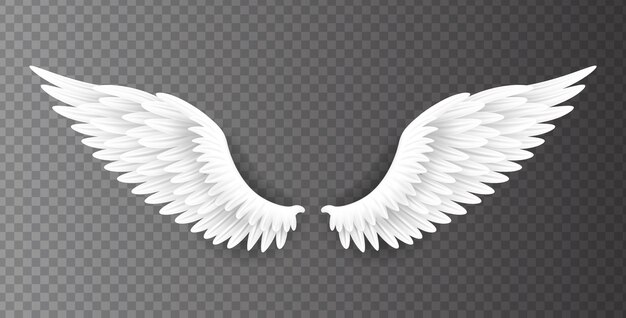 天使の翼 画像 無料のベクター ストックフォト Psd