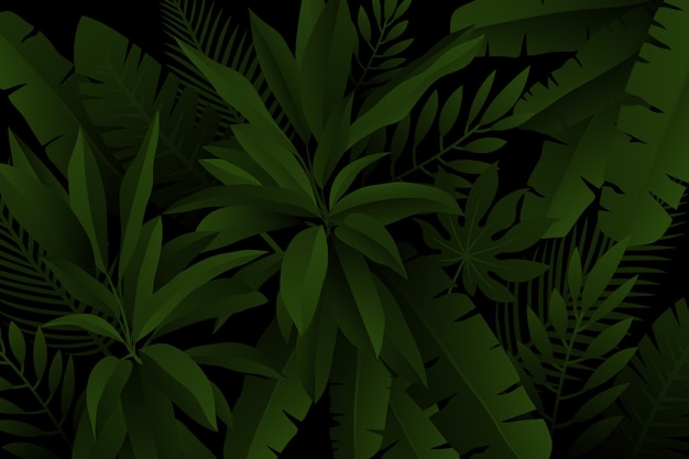 Free vector palm and fern leaves realistic dark tropical background