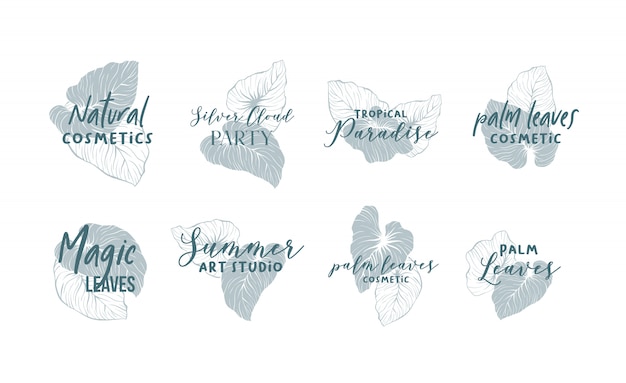 Palm leaves logo design collection