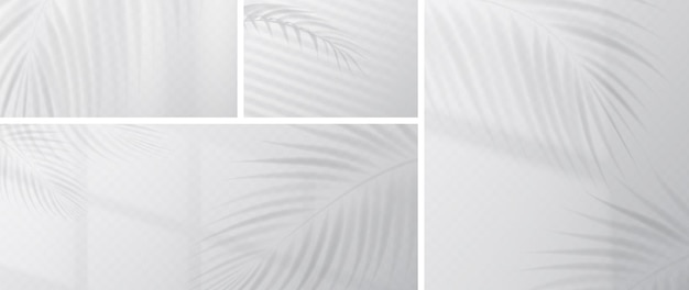 Free vector palm leaves shadow overlay on wall