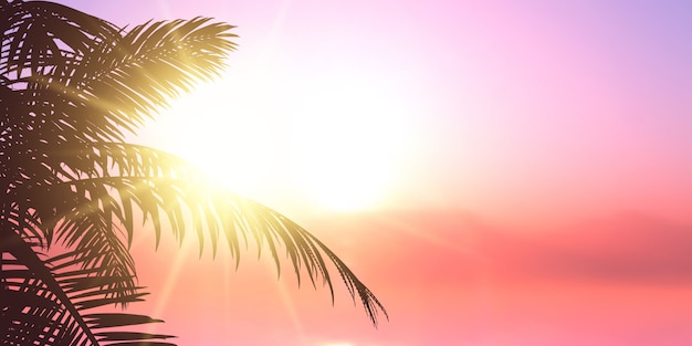 Palm silhouette against sun