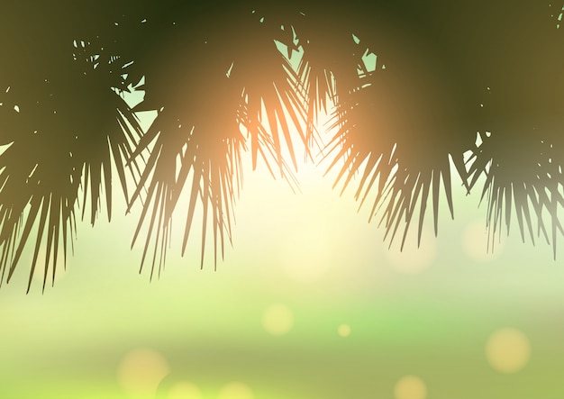 Free vector palm tree leaves against bokeh light background