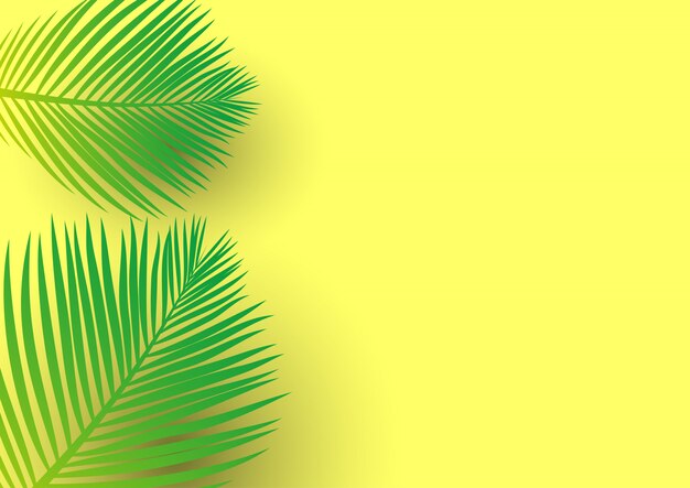 Palm tree leaves on a bright yellow background