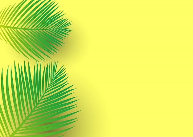 Palm tree leaves on a bright yellow background