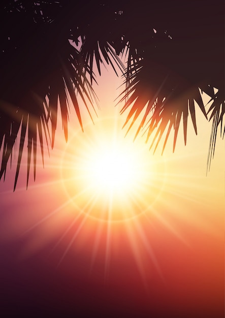 Palm tree leaves on summer background