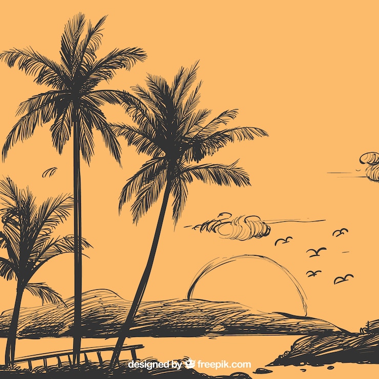 Free Vector palm tree sketch background