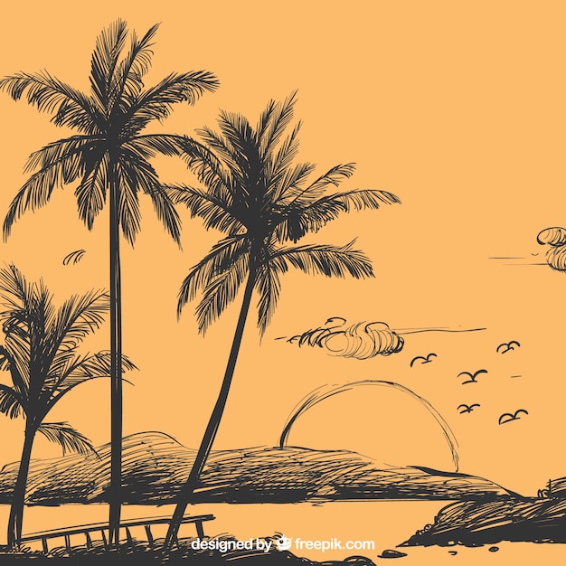 Palm tree sketch background