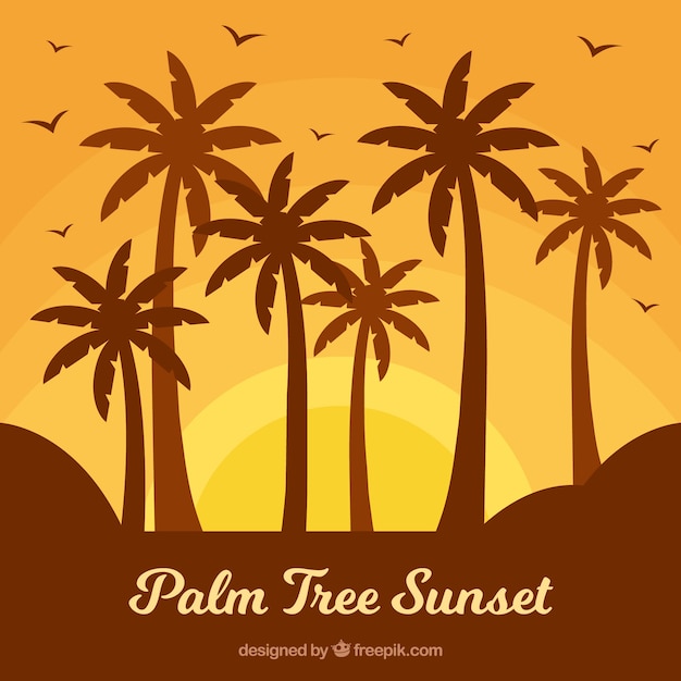 Free vector palm tree sunset