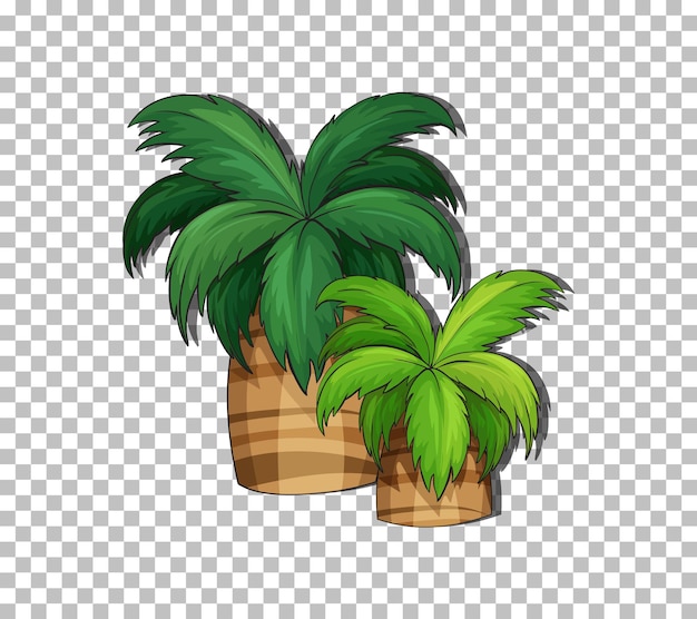 Free vector palm tree on transparent background