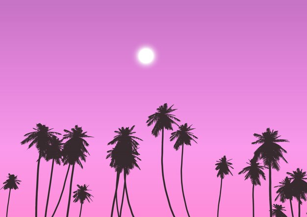 Palm trees against sunset sky 