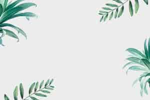 Free vector palm trees background