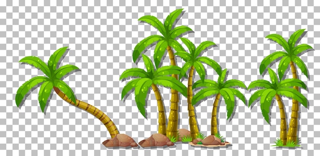 Palm trees on transparent background