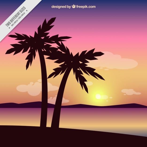 Palm trees with colorful background