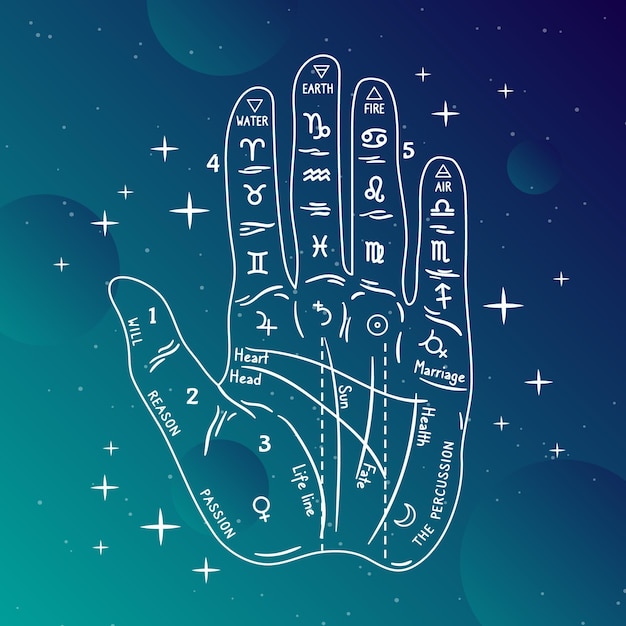 Free vector palmistry concept