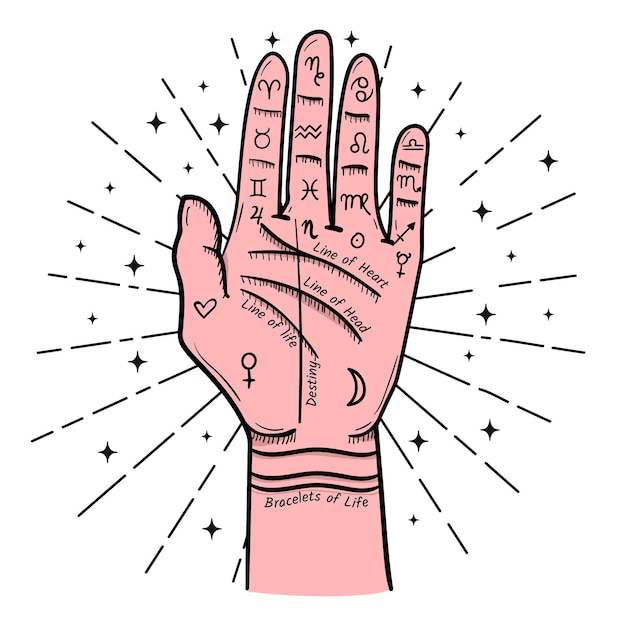 Free vector palmistry illustration