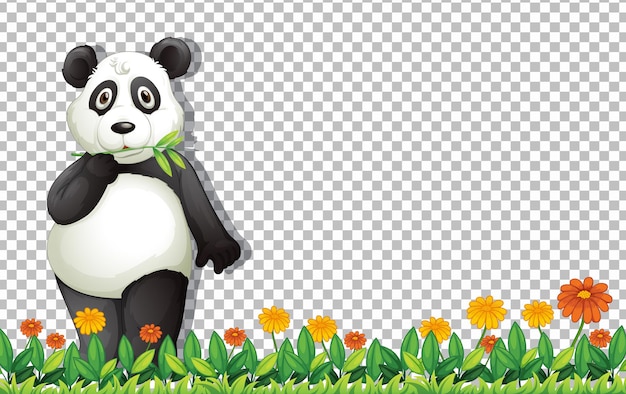 PANDA png images