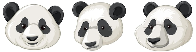 Immagini del viso dei cartoni animati di panda