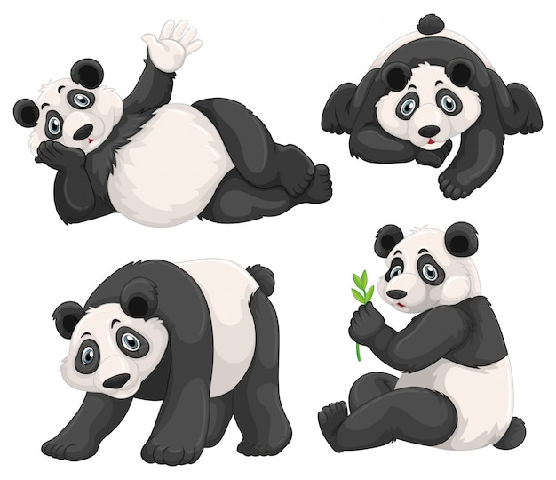 Бесплатное векторное изображение Панда в четырех разных позах