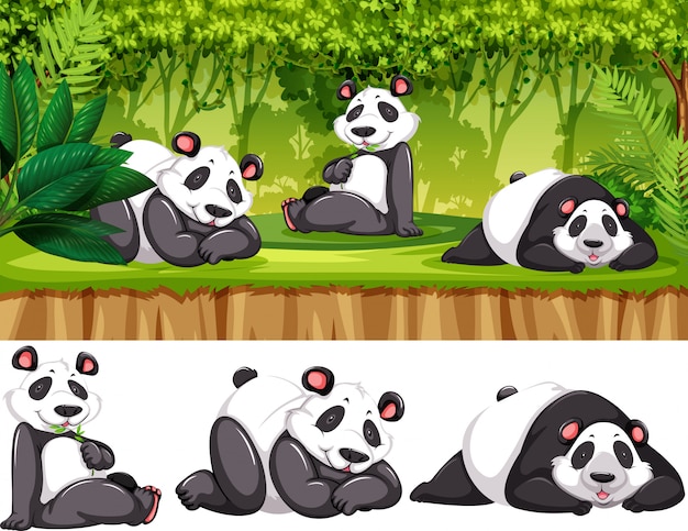 Cute Animal Design Represented By Kawaii Panda Icon. Colorfull And Flat  Illustration. Royalty Free SVG, Cliparts, Vectors, and Stock Illustration.  Image 59826232.