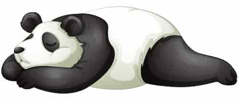 Free vector panda