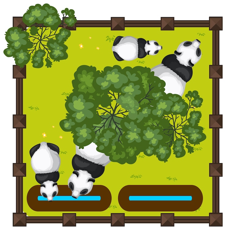 Free Vector pandas in a lush enclosure
