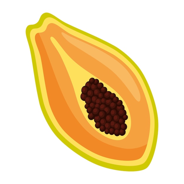 Free vector papaya fruit on white background icon isolated