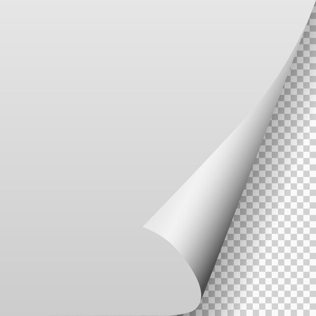 Premium Vector Page Curl Shadow Effect On Blank Sheet Of Paper