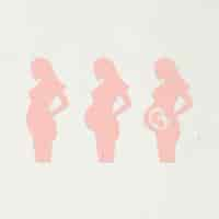 Free vector paper craft pregnant woman character set vector