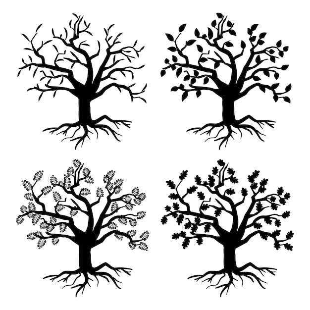 Бесплатное векторное изображение Паркуйте старые деревья. силуэты деревьев с корнями и листьями. монохромное дерево флоры коллекции иллюстрации