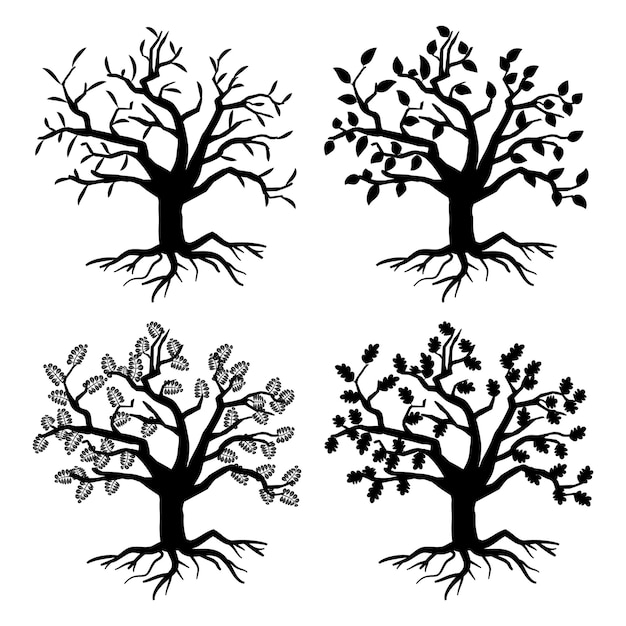 Free vector park old trees.  tree silhouettes with roots and leaves. monochrome tree flora of collection illustration