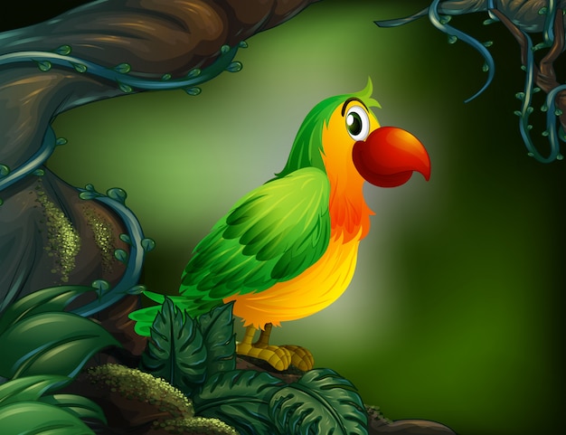 Попугай в тропическом лесу