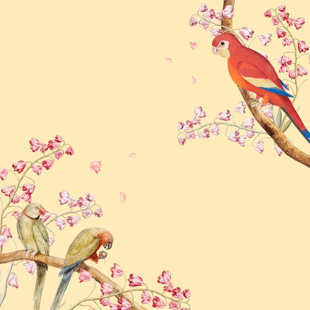 Parrots mockup border