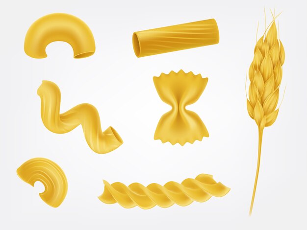 Pasta types and forms realistic vector set
