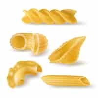 Free vector pasta types and forms realistic