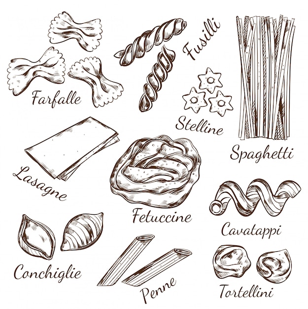 Free vector pasta types sketch set