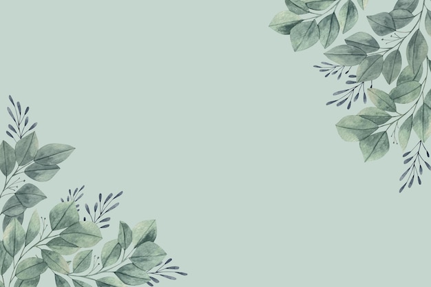 20 Sage Green Aesthetic Wallpaper Backgrounds FREE