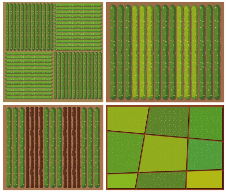 Free Vector pattern of crops from top view