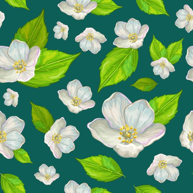Pattern flower jasmine