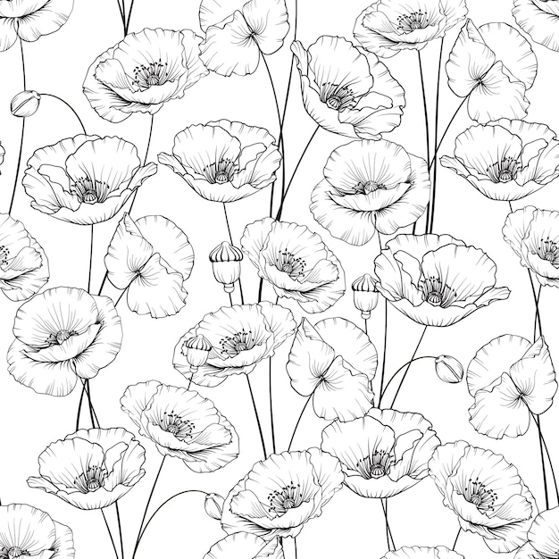 Vettore gratuito modello di fiori di papavero su sfondo bianco illustrazione vettoriale