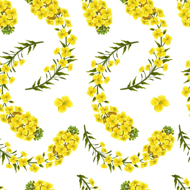 Free Vector pattern rape flowers, canola. brassica napus.