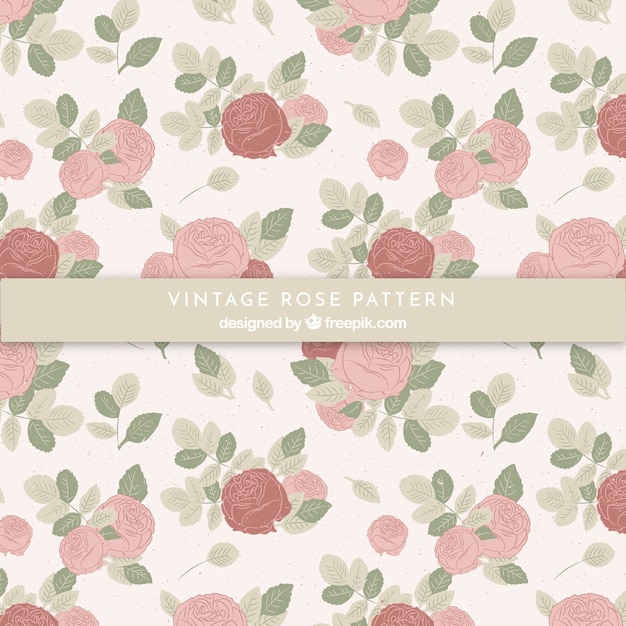 Free Vector pattern of vintage hand drawn roses 