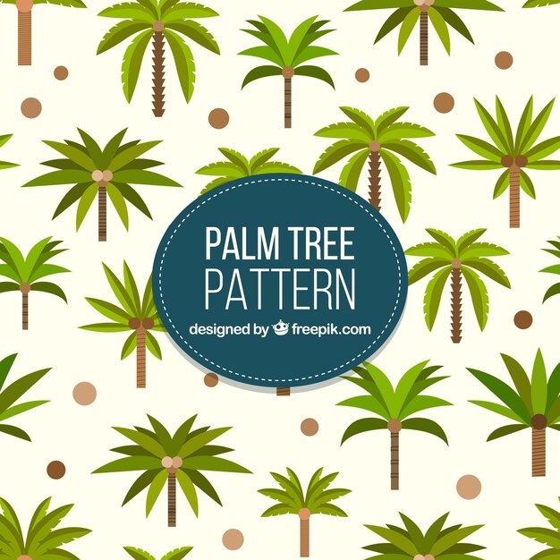 patterns of palm trees in flat design