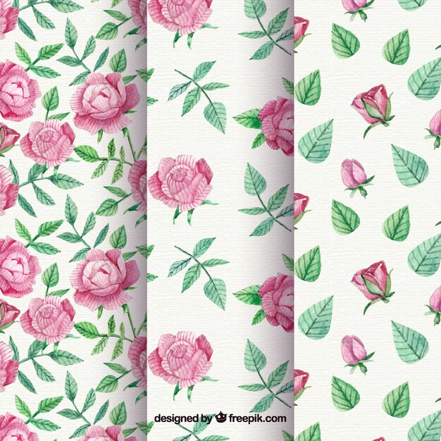 Patterns set of roses and vintage watercolor leaves